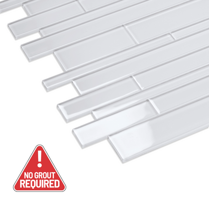 Shanti (6-pack)